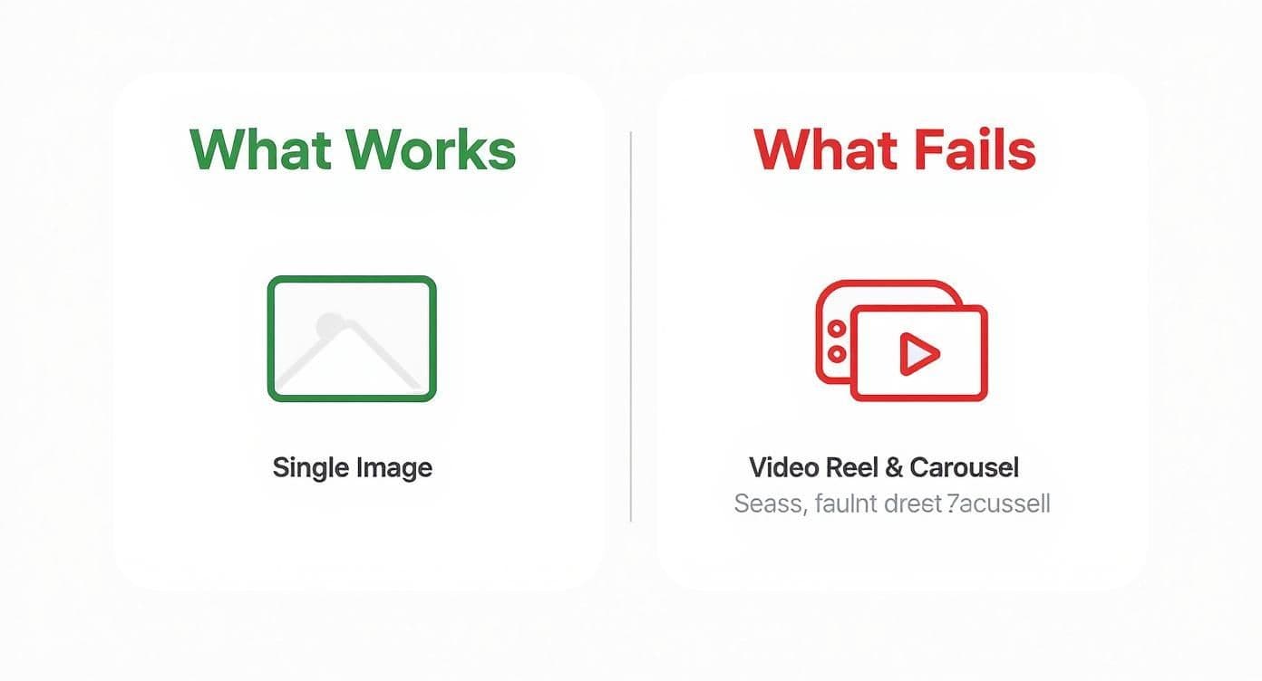 An infographic comparing content strategies: single images work, while video reels and carousels fail.