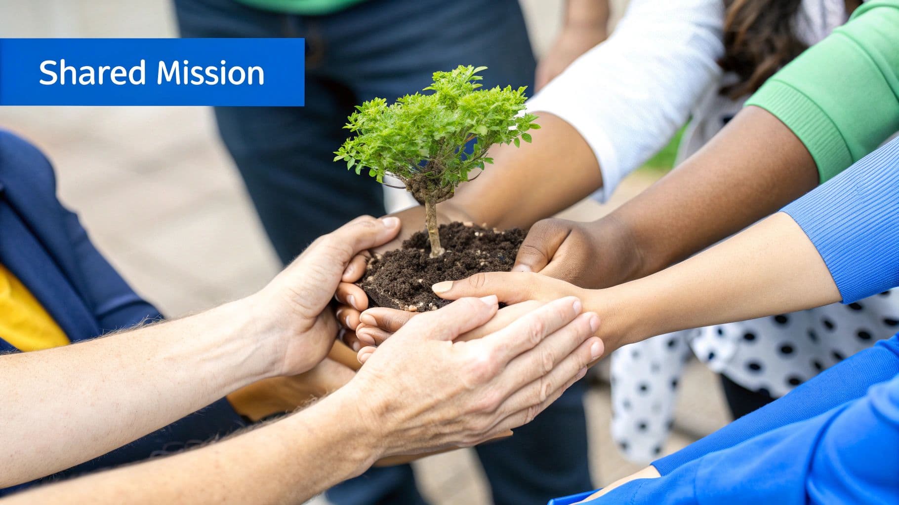 Niche Expertise and Thought Leadership