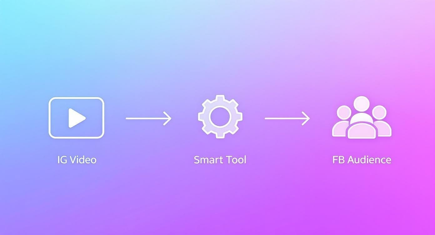 A visual diagram showing IG Video processed by a Smart Tool to reach FB Audience.