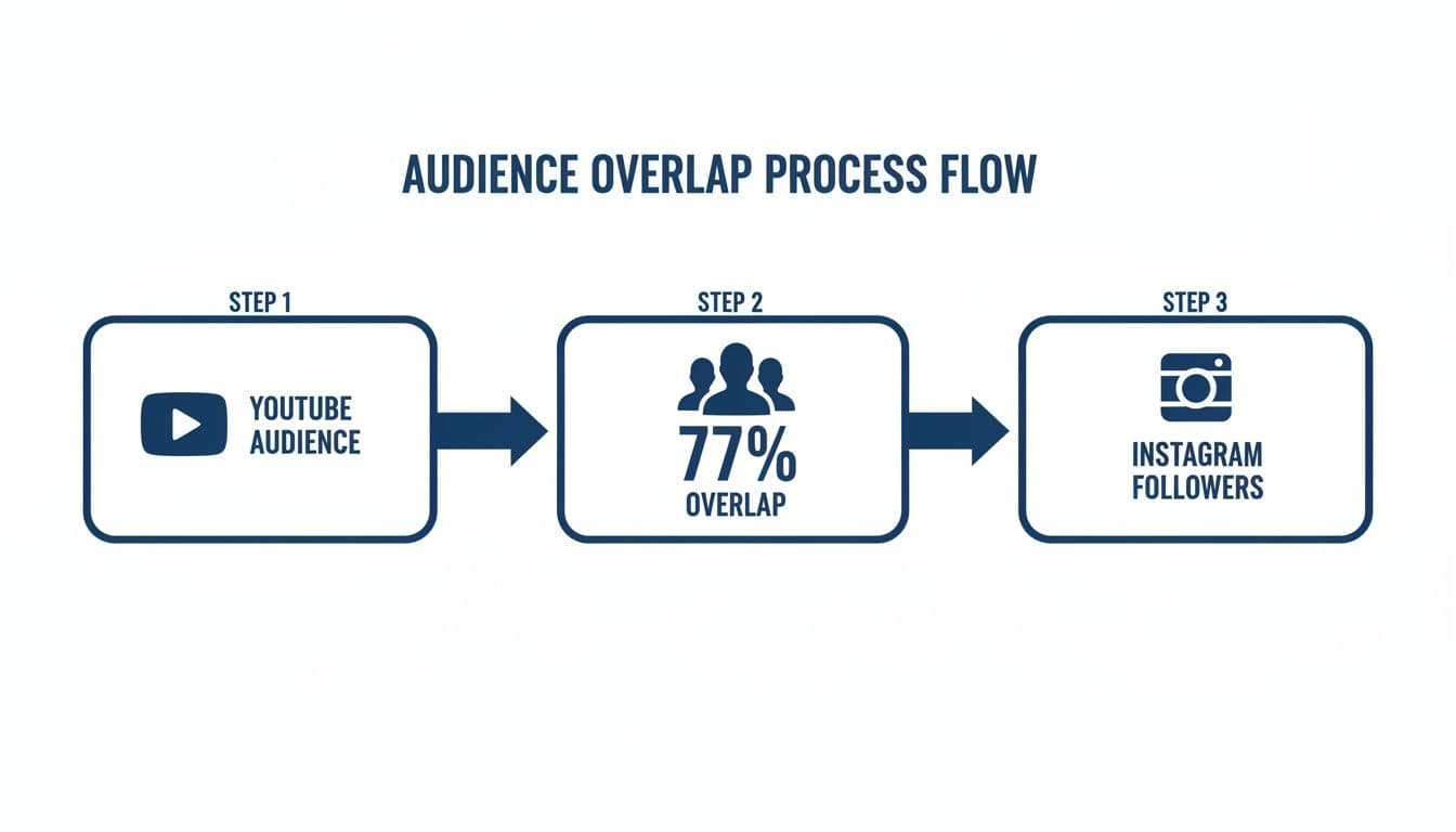 Diagram showing audience overlap from YouTube to Instagram, highlighting 77% common users in a three-step flow.