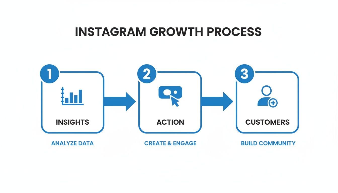 Infographic illustrating a 3-step Instagram growth process: insights, action, and customers.