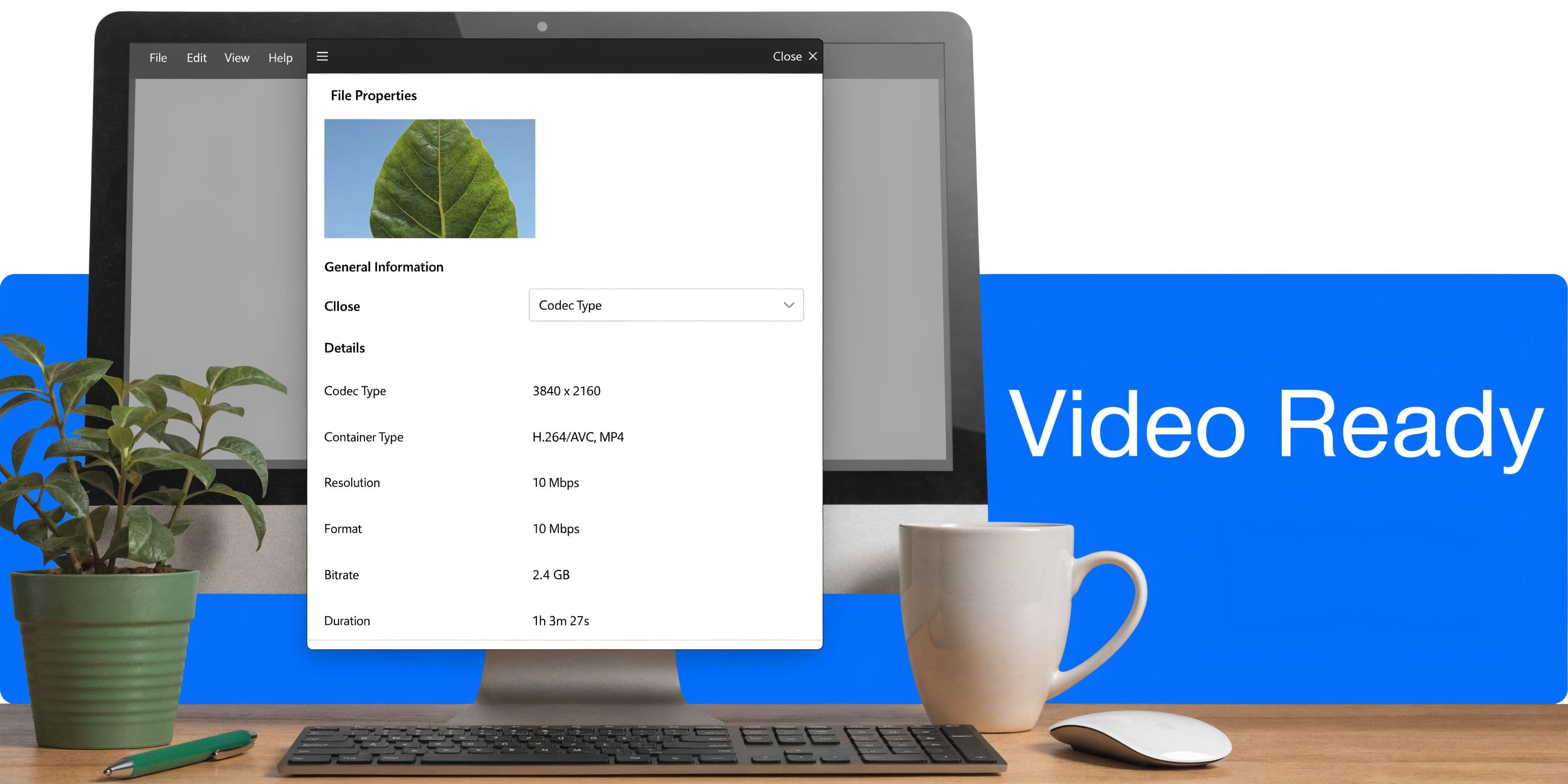 A desktop computer screen showing technical file properties for a video file with a green leaf preview.
